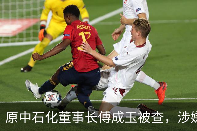 原中石化董事长傅成玉被查，涉嫌严重违纪违法