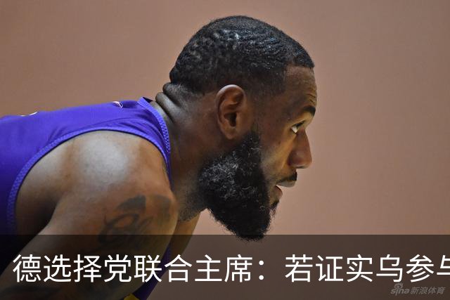 德选择党联合主席：若证实乌参与了北溪管道被炸事件，将面临后果