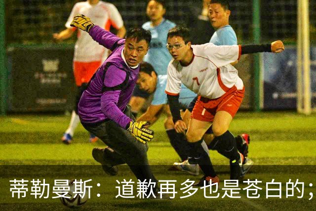 蒂勒曼斯：道歉再多也是苍白的；我们几乎所有环节都脱节了